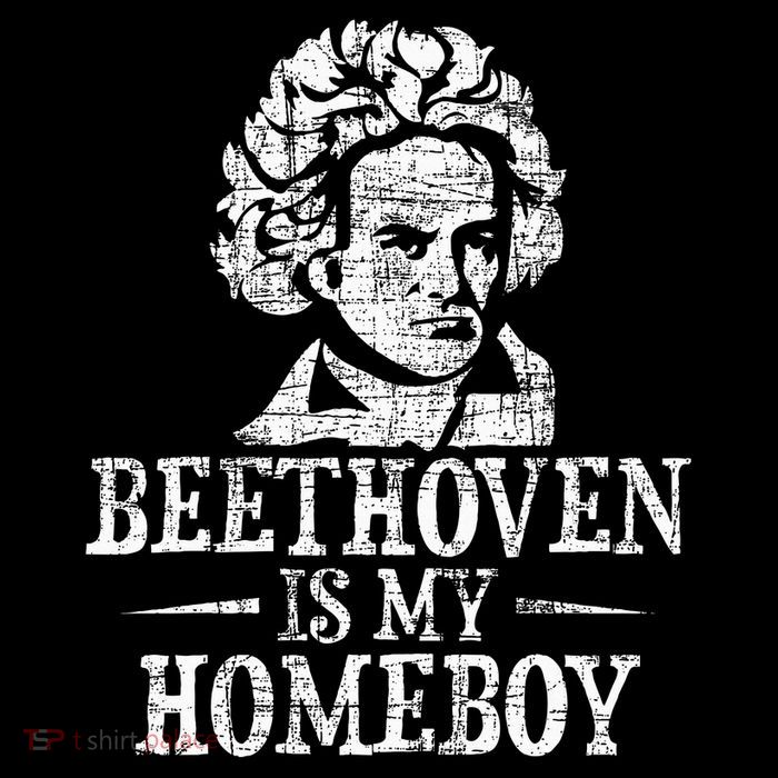 Beethoven Is My Homeboy Al Music Composer Teacher Women's V-Neck T-Shirt