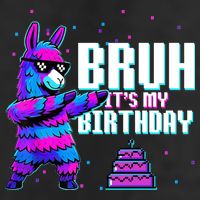 Bruh Its My Birthday Llama Pinata Family Party Bday 7 Panel Mesh Trucker Snapback Hat