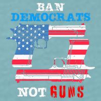 Ban Idiots Not Guns 2nd Amendment Constitution Rights Sueded Cloud Jersey T-Shirt