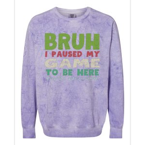 Bruh I Paused My Game To Be Here YouRe Welcome Retro Gamer Gift Colorblast Crewneck Sweatshirt