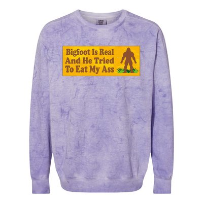 Bigfoot Is Real And He Tried To Eat My Ass Funny Colorblast Crewneck Sweatshirt