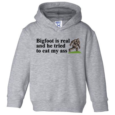 Bigfoot Is Real And He Tried To Eat My Ass Meme Toddler Hoodie
