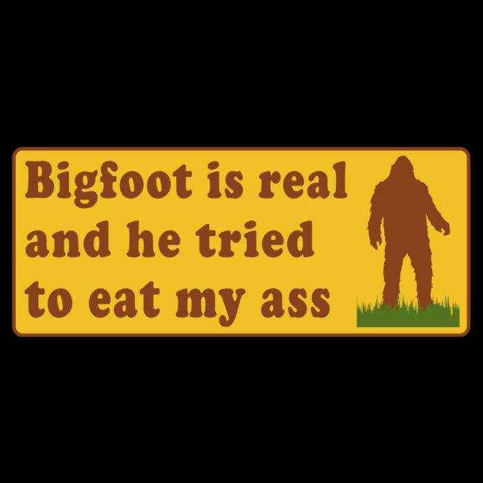 Bigfoot Is Real And He Tried To Eat My Ass Meme Women's V-Neck T-Shirt