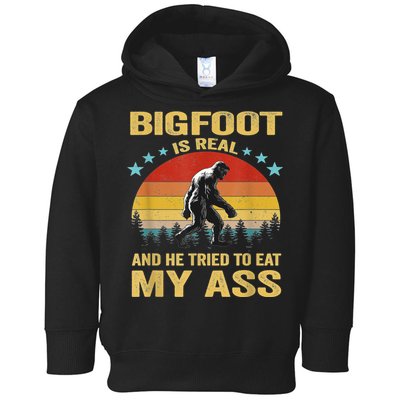 Bigfoot Is Real And He Tried To Eat My Ass Meme Retro Vintage Toddler Hoodie