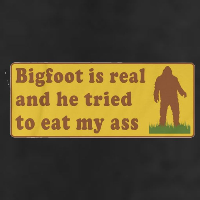 Bigfoot Is Real And He Tried To Eat My Ass Funny Oddly Specific Meme 7 Panel Mesh Trucker Snapback Hat