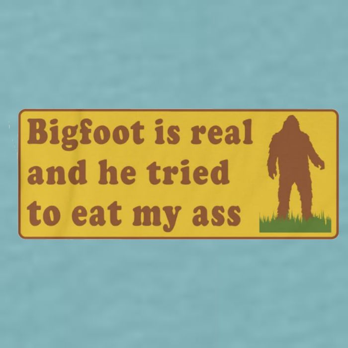 Bigfoot Is Real And He Tried To Eat My Ass Funny Oddly Specific Meme Sueded Cloud Jersey T-Shirt