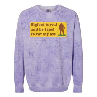 Bigfoot Is Real And He Tried To Eat My Ass Sasquatch Lover Colorblast Crewneck Sweatshirt