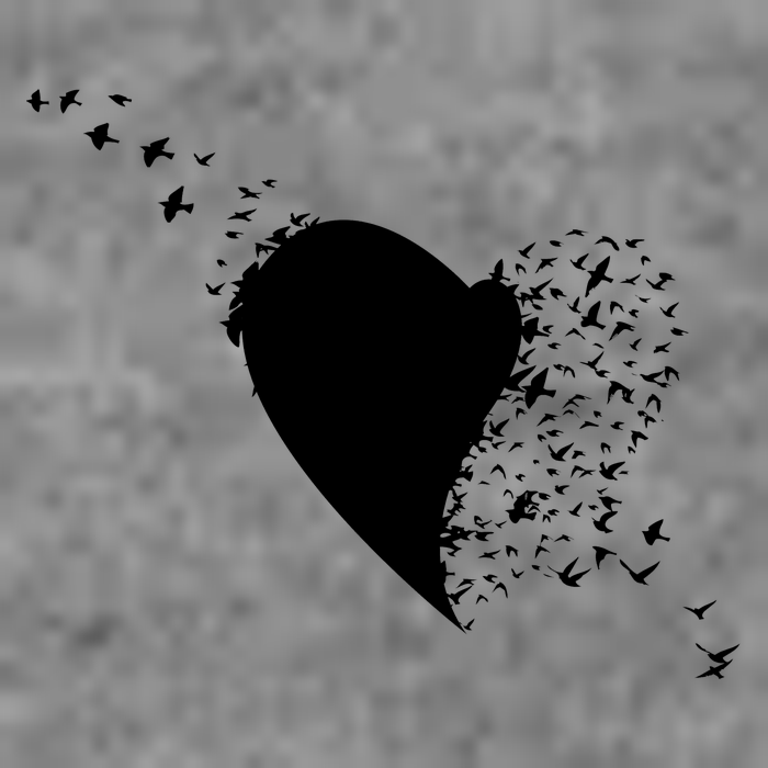 Bird Flocking Heart Cropped Pullover Crew