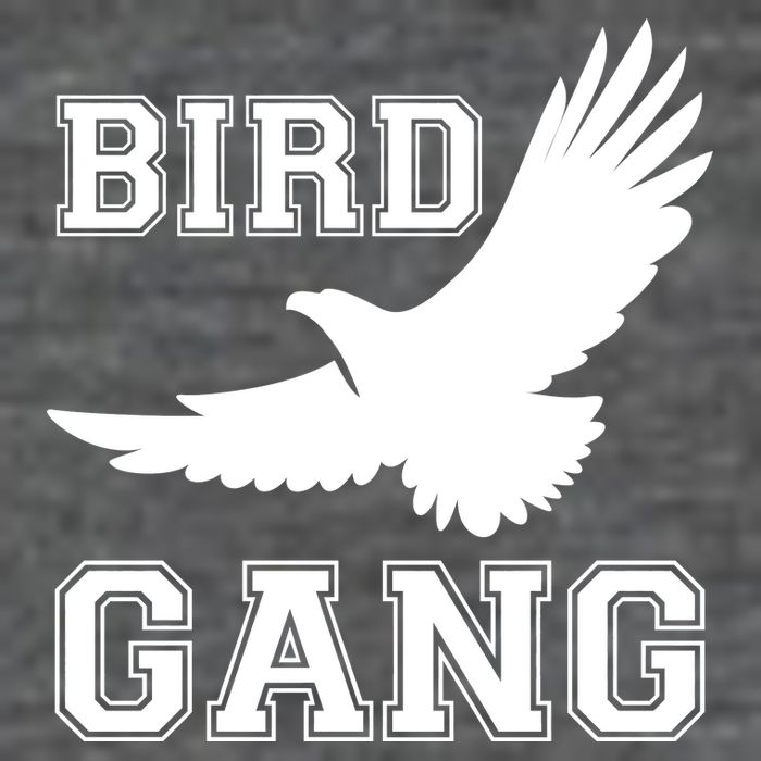 Bird Gang Philadelphia 7 Panel Mesh Trucker Snapback Hat
