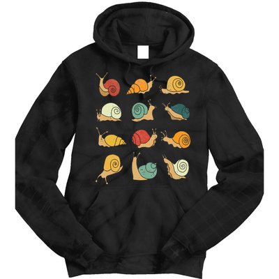 Beautifully Illustrated Snails Vintage Snail Lover Tie Dye Hoodie