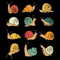 Beautifully Illustrated Snails Vintage Snail Lover Visor