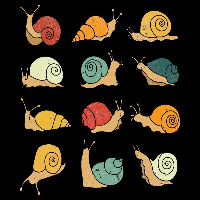 Beautifully Illustrated Snails Vintage Snail Lover Visor