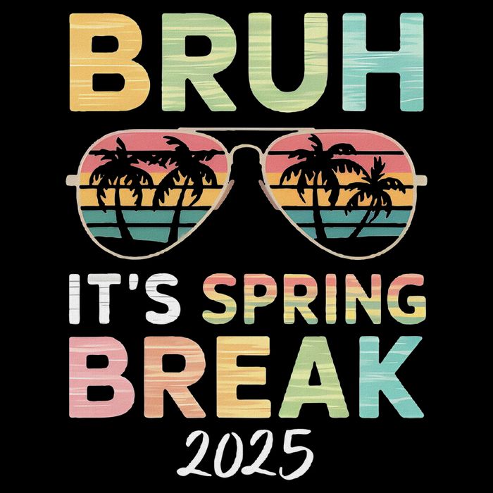 Bruh It's Spring Break 2025 Funny N College Spring Break Wool Snapback Cap