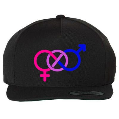 Bisexual Bi Pride Shirt Gay Parade LGBTQ Wool Snapback Cap