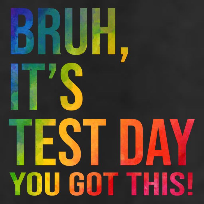 Bruh It's Test Day You Got This Testing Day Teacher Beanie