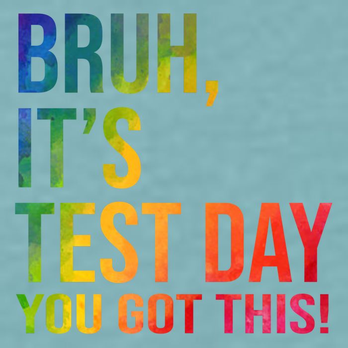 Bruh It's Test Day You Got This Testing Day Teacher Sueded Cloud Jersey T-Shirt