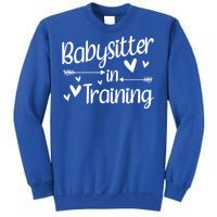 Babysitter In Training Cool Gift Sweatshirt