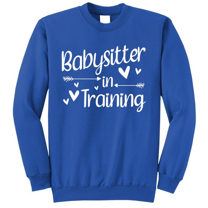 Babysitter In Training Cool Gift Sweatshirt