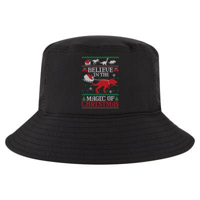 Believe In The Magic Of Christmas Dinosaur Rex Ugly Great Gift Cool Comfort Performance Bucket Hat