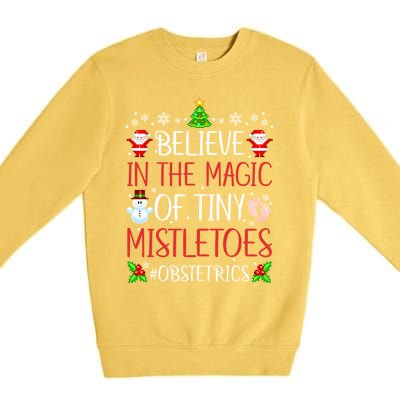 Believe In The Magic Of Tiny Mistletoes Obstetrics Christmas Gift Premium Crewneck Sweatshirt