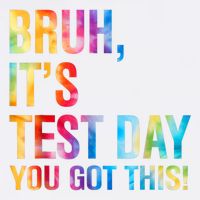 Bruh It's Test Day You Got This Testing Day Teacher Button