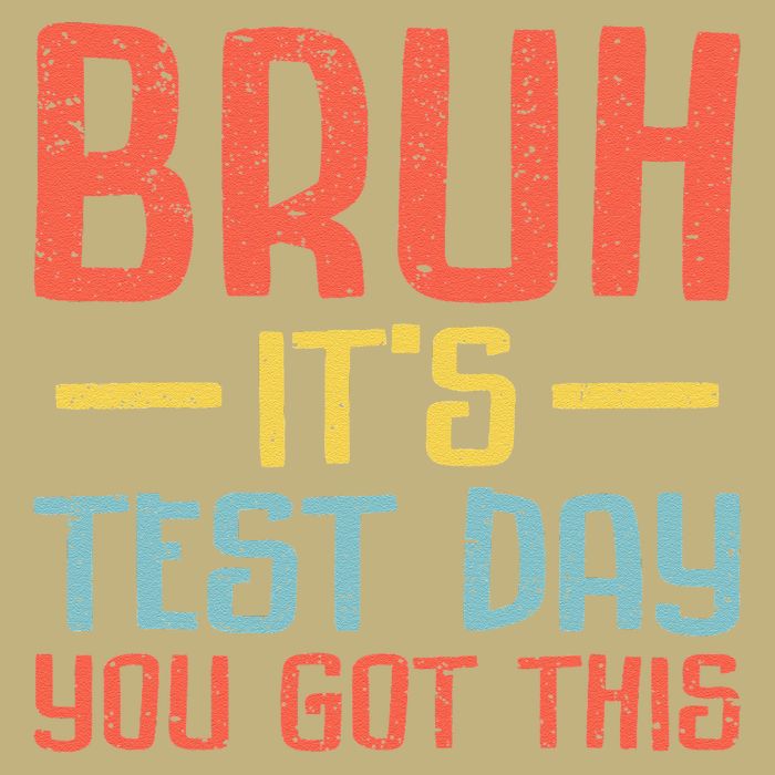 Bruh Its Test Day You Got This Testing Day Teacher T-Shirt