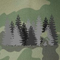 Bigfoot In The Forest Sasquatch Yeti Legacy Tie Dye Trucker Hat