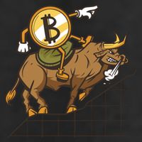 Bitcoin Cartoon Riding Bull Adult Drive Performance Visor