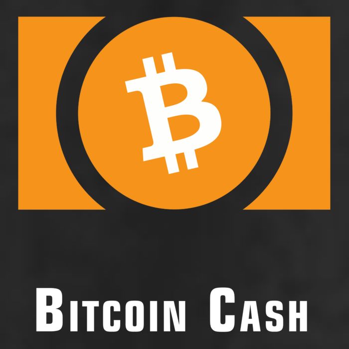 Bitcoin Cash Classic Adult Drive Performance Visor