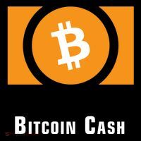 Bitcoin Cash Classic 16 in Basic Backpack