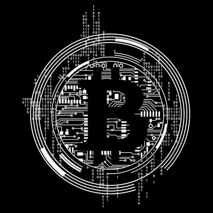 Bitcoin Chip Logo Cropped Pullover Crew