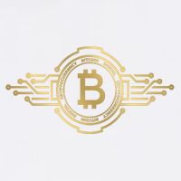 Bitcoin Crypto Coin Garment-Dyed Sweatshirt