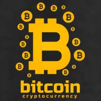 Bitcoin Cryptocurrency Logo Garment-Dyed Heavyweight T-Shirt