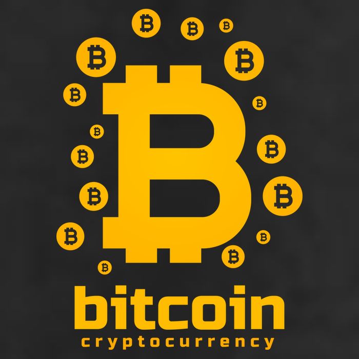 Bitcoin Cryptocurrency Logo Garment-Dyed Heavyweight T-Shirt
