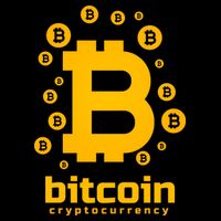Bitcoin Cryptocurrency Logo Womens T-Shirt