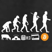 Bitcoin Evolution 25L Jumbo Tote