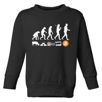 Bitcoin Evolution Toddler Sweatshirt