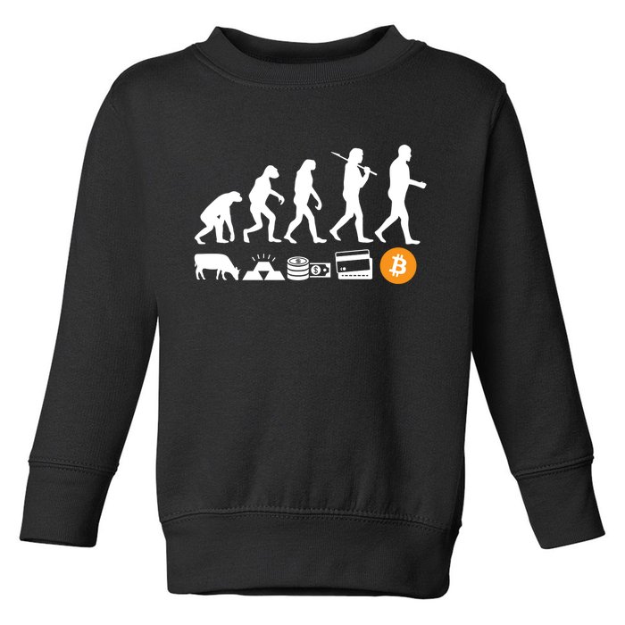 Bitcoin Evolution Toddler Sweatshirt