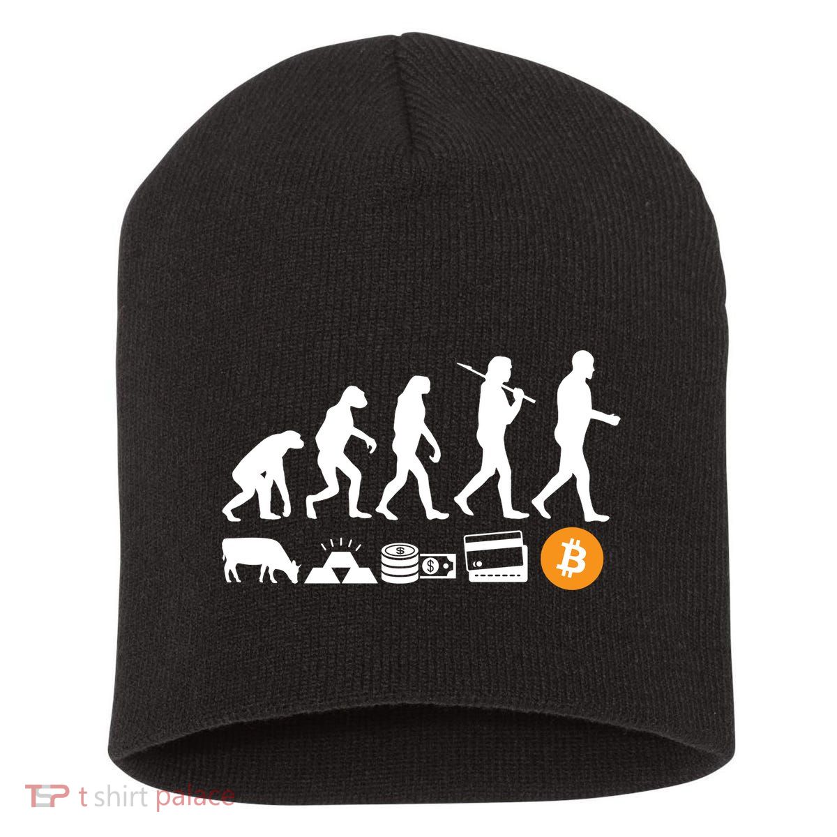 Bitcoin Evolution Short Acrylic Beanie