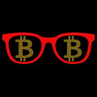 Bitcoin Glasses Hoodie