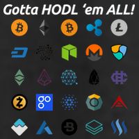 Bitcoin Litecoin Gotta Hodl Em All Cryptocurrency Logos Adult Drive Performance Visor