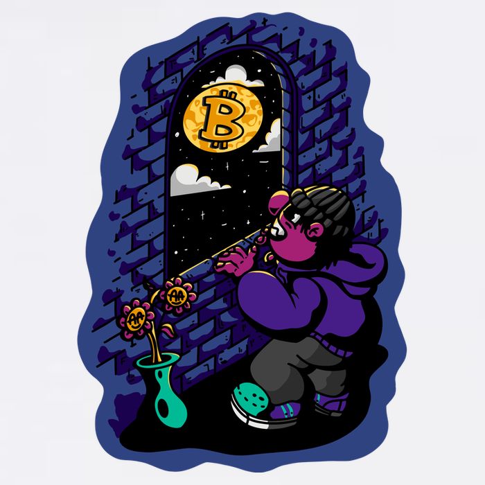 Bitcoin Moon Cartoon T-Shirt