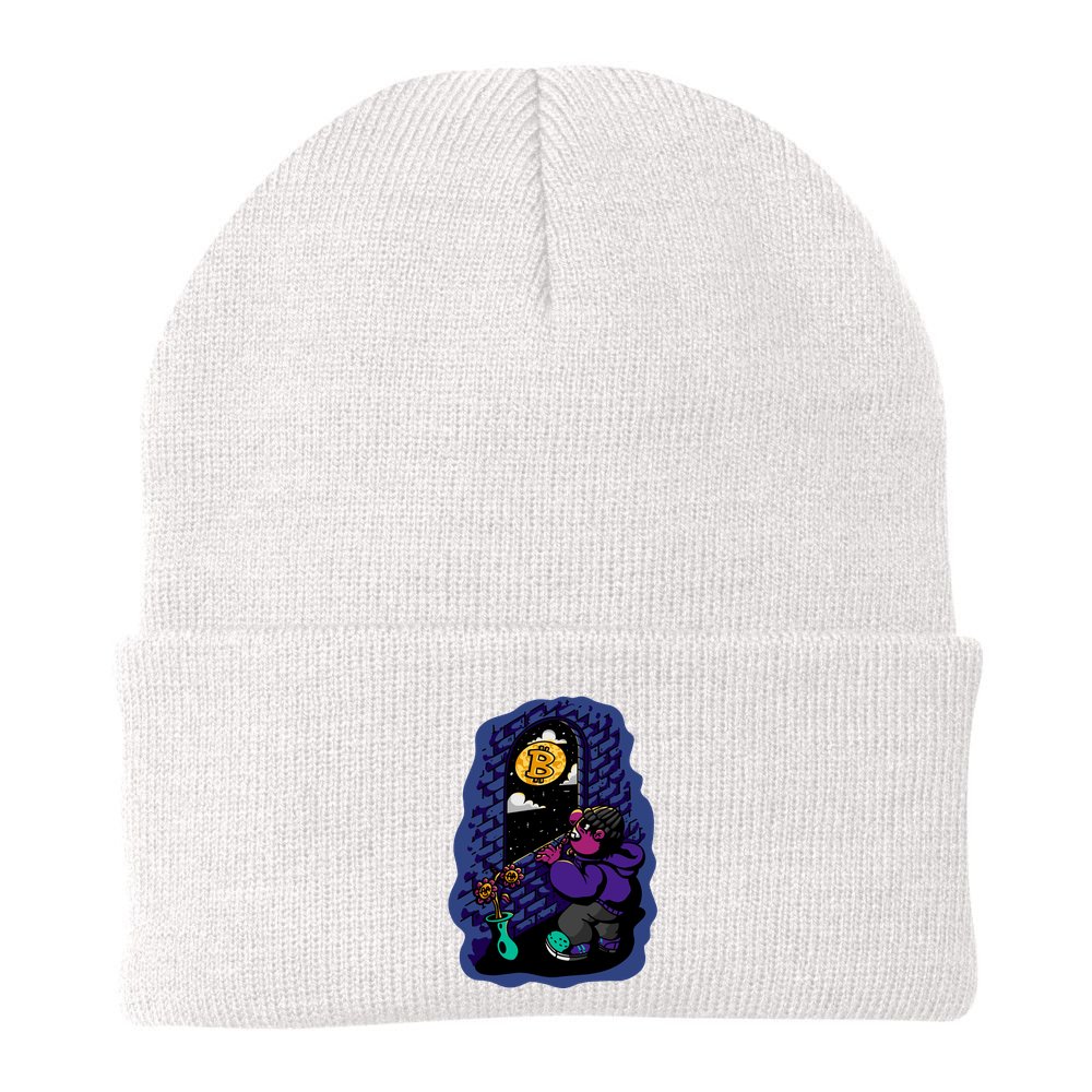 Bitcoin Moon Cartoon Beanie