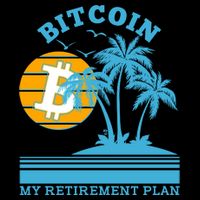 Bitcoin My Retirement Plan Cropped Pullover Crew