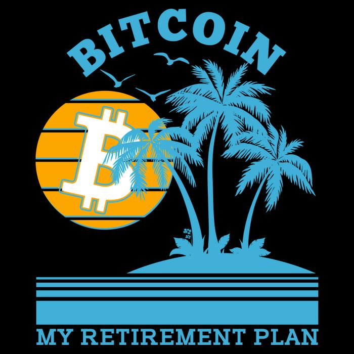 Bitcoin My Retirement Plan Cropped Pullover Crew