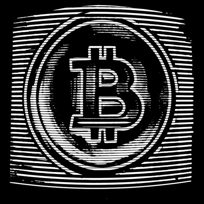 Bitcoin Static Logo Kids Sweatshirt