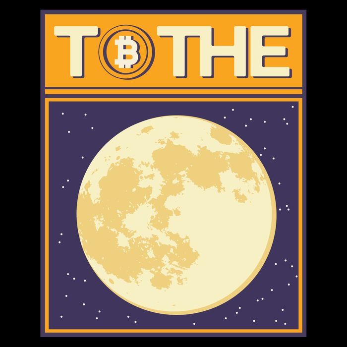 Bitcoin To The Moon Pom Pom 12in Knit Beanie