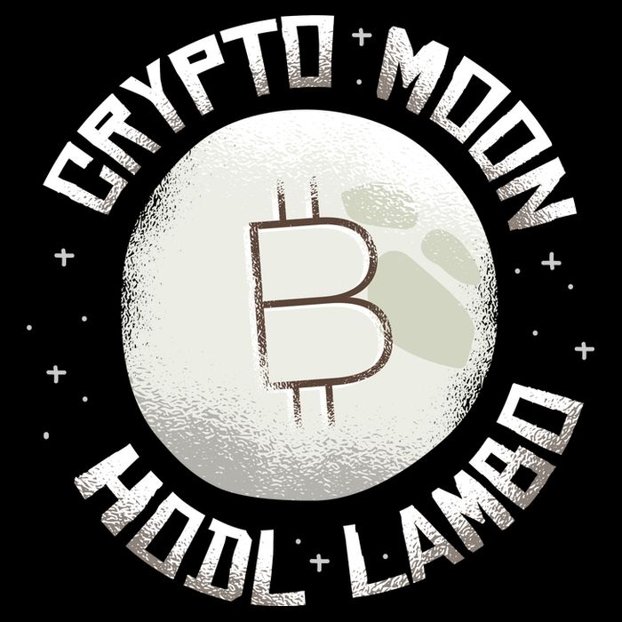 Bitcoin to the Moon Hodl Lambo Crypto Currency 16 in Basic Backpack