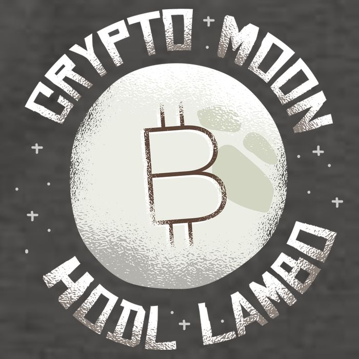 Bitcoin to the Moon Hodl Lambo Crypto Currency Vector Backpack