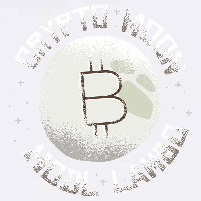 Bitcoin to the Moon Hodl Lambo Crypto Currency Garment-Dyed Sweatshirt